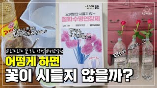 예쁜 꽃 오래보는 방법  어떤 물에서 가장 오래 갈까요 비교실험  다이소 절화보존제의 효과는  집에서 간단히 만드는 절화보존제 [upl. by Tnahs]