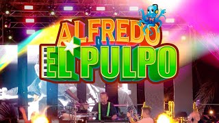 Alfredo quotEl Pulpoquot y sus teclados  Mambo 8 EN VIVO [upl. by Pratt]