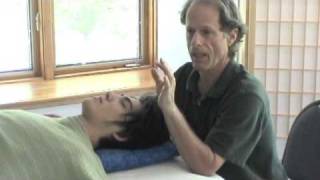 Practitioner Skills for Subtle Energy Therapies [upl. by Nerte]