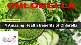 Chlorella Algae Nutritious Green Superfood  Chlorophyll Chlorella Video [upl. by Neelik439]