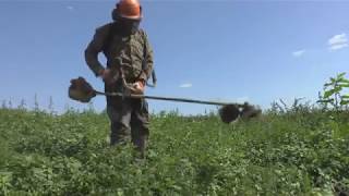 débroussaillage ronces forestier difficile fauchage entreprise [upl. by Aubyn]