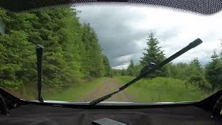 Kielder Forest Rally 15 June 2024 Falstone 2 SS4 [upl. by Aylad]