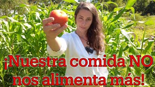 La DEFICIENCIA NUTRICIONAL en nuestros ALIMENTOS [upl. by Neil412]