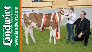 4 Bundesjungzüchterchampionat in Freistadt [upl. by Eelnyl151]