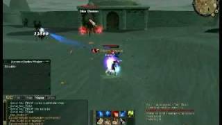 Full int Bow lvl80 [upl. by Ecirum]