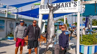 HUGE 227lb Swordfish  February Fishing Report [upl. by Jeremy222]