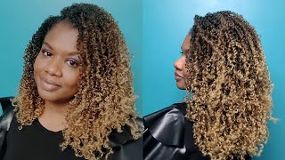 The Absolute BEST Crochet Hair  Yanky Twists From Crochet Braids Plus [upl. by Petua]