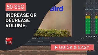 Lightworks Tutorial How to Increase or Decrease Volume in Lightworks [upl. by Aniger15]