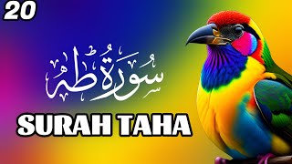 Surah Taha Full With Arabic Beautiful Quran Recitation  Complete Tilawah Yasin Yaseen Rahman Mulk [upl. by Hirst]