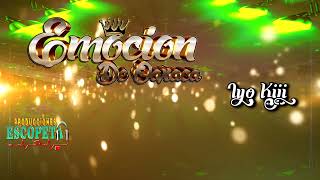 EMOCION DE OAXACA Iyo Kiji Cover [upl. by Persas]