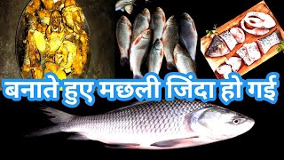 बनते समय मछली जिंदा हो गई  Bnate time fish jinda ho gyi  Anchal pooja vlog  Fish fry [upl. by Aufmann593]