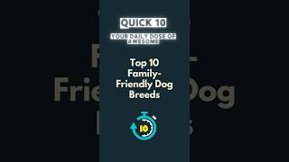 The Best Family Dogs Top 10 Family Friendly Dog Breeds [upl. by Maisel]