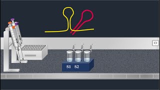 Northern Blot Method  Animated Video [upl. by Aidroc]