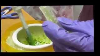 Catalase enzyme assay [upl. by Lime]