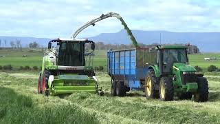 Hany Grass Silage Chopping 2024 Part 2 [upl. by Jacenta115]