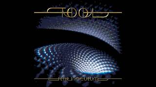 Tool  Fear Inoculum 2019 Instrumental Full Album [upl. by Krm]