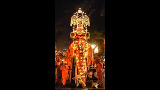 Kandy Esala Perahera 2021  5th Kumbal Perahera [upl. by Airyt]