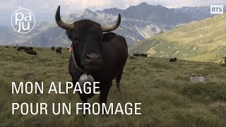 Mon alpage pour un fromage [upl. by Kenric]