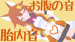 【体内で録音】女の子のお腹の音♡胎内音♡ASMR Belly soundWomb sound肚皮声자궁 소리Som de barriga [upl. by Dulcinea]