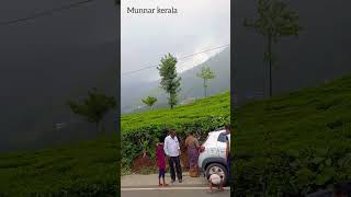 munnar kerala [upl. by Ikkela25]