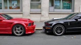 Ford Shelby GT500 quotMAGNUMquot  Ford Mustang GT [upl. by Lathrope]