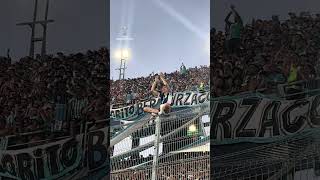 LA PASIÓN POR RACINGCLUB Sudamericana [upl. by Nol]