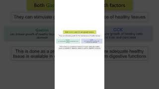 GASTRIN CCK FUNCTION [upl. by Atillertse]