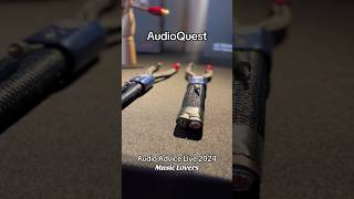 AudioAdvice Live 2024 AudioQuestUS audiophile [upl. by Ecyob77]