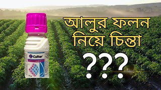 আলু তে cultar কখণ্ spray কোরবেন । এর কাজ কি [upl. by Cohbert77]