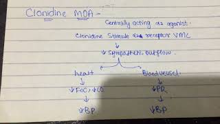 mechanism of action of clonidine and alpha methyl dopa [upl. by Holzman110]