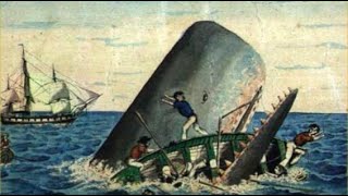 The Real Story That Inspired Moby Dick  The Sinking of the Essex [upl. by Tenaej]