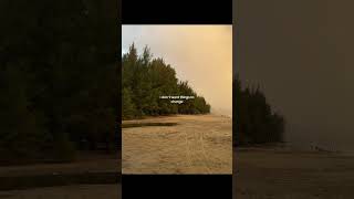 always  daniel caesar slowed reverb  TikTok Version lyrics lyrics4mood shorts [upl. by Eteragram751]