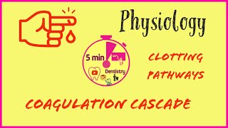 COAGULATION CASCADE  CLOTTING PATHWAY  PHYSIOLOGY  EASY EXAM NOTES  5minDENTISTRY [upl. by Merce]