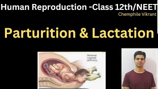 Parturition and Lactation chemphilevikrant [upl. by Pyne]