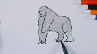 How To Draw Gorilla 🦍🦍 [upl. by Spenser]