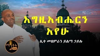 quotእግዚአብሔርን አየሁquot quotEgziabheren Ayehuquot ሊቀ መዘምራን ይልማ ኅይሉ Like Mezemeran Yilma Hailu [upl. by Noemys]