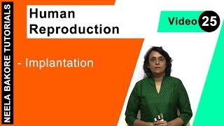 Human Reproduction  NEET  Implantation  Neela Bakore Tutorials [upl. by Jasik]