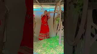 Chalu kar jernatorshortvideoviraltrandingleastvideo [upl. by Adrell]