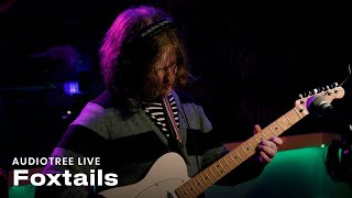 Foxtails  i experienced ego death on an nde thread  Audiotree Live [upl. by Hyo874]