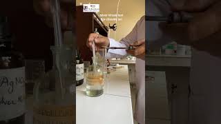 Silver nitrate chloride ion test with Practical Guru Monu Sharma [upl. by Emalia]