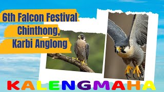 Falcon festival  Chinthong Karbi Anglong Umru Khuti [upl. by Tresa]