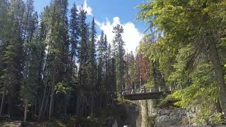 Athabasca falls [upl. by Devehcoy278]