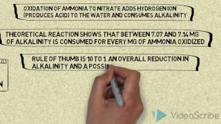 ALKALINITY DURING NITRIFICATION [upl. by Aira]