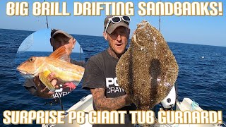 Big Brill And Giant Tub Gurnard  Drifting Sandbank Around Alderney  Sea Fishing UK [upl. by Ruhtracm832]