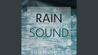 Rain Sound Pure White Noise for Natural Deep Sleep Inducing [upl. by Hait]