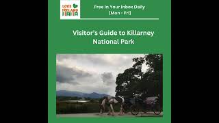 Visitor’s Guide to Killarney National Park [upl. by Lymann]