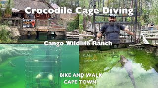 Crocodile Cage Diving in Oudtshoorn South Africa [upl. by Adila]