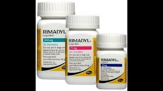 Rimadyl Side Effects [upl. by Nwad]