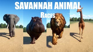 Savannah Animal Races in Planet Zoo included Lion African elephant Giraffe cheetah [upl. by Yrret]