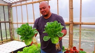 Extra income sa Lettuce pwde kahit di ka mag resign sa work mo [upl. by Herschel]